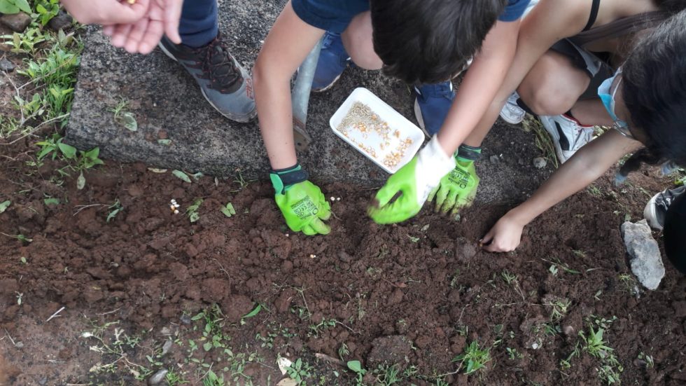 Del cielo a la tierra:                                 cultivar miradas en clase al aire libre